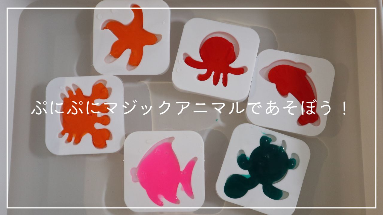 ぷにぷにマジックアニマルであそぼう！のアイキャッチ画像